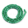 Natural Freshwater Shell Beads Strands SHEL-S278-066A-2