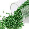 TOHO Round Seed Beads SEED-JPTR15-0027BF-1