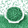 FGB Frosted Transparent Glass Seed Beads SEED-N013-05A-09-2