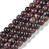 Natural Plum Blossom Tourmaline Beads Strands G-K364-B01-01-1