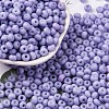 Baking Paint Glass Seed Beads SEED-C003-02H-1