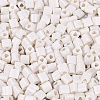 FGB Baking Paint Glass Seed Beads SEED-Q040-09A-01-3