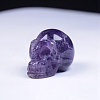 Natural Amethyst Carved Healing Skull Head Figurines PW-WG76897-02-1