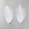 Ostrich Feather Craft for Wedding Party Centerpieces Home Decoration DIY-WH0899-791C-1