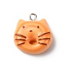Opaque Resin Pendants RESI-A050-04A-1