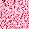 FGB Baking Paint Glass Seed Beads SEED-Q040-09A-02-3
