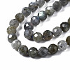 Natural Labradorite Beads Strands G-T108-61-3