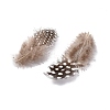 Fashion Feather Costume Accessories X-FIND-R01a-R01a-2