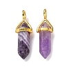 Natural Amethyst Pendants G-K329-34G-2