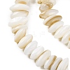 Natural Anomaly Freshwater Shell Beads Strands BSHE-S304-05B-3