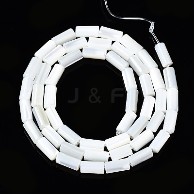 Natural Trochid Shell/Trochus Shell Beads Strands X-SSHEL-S266-020A-02-1