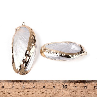 Electroplate Natural Sea Shell Big Pendants SSHEL-T018-18-1