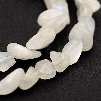 Natural White Moonstone Bead Strands G-J280-01-1