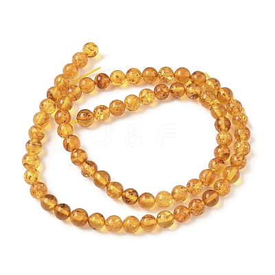 Natural Amber Beads Strands G-L095-B01-5mm-02-1