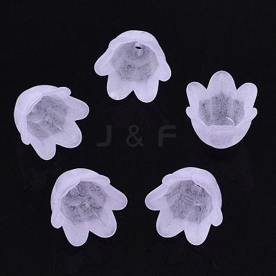 Transparent Acrylic Bead Caps FACR-N005-002F-1
