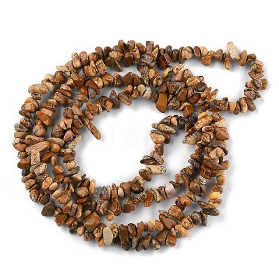Natural Picture Jasper Beads Strands G-G0003-B16-1