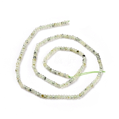 Natural Prehnite Beads Strands G-E194-06-1