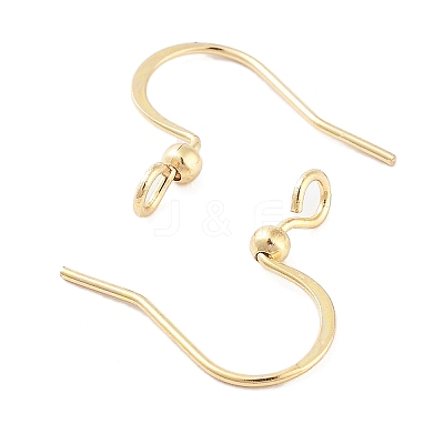 316 Surgical Stainless Steel Earring Hooks STAS-K274-10G-1