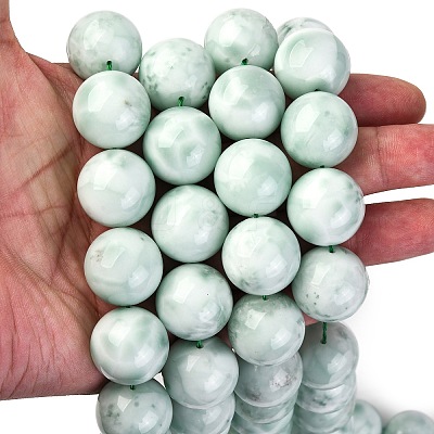 Natural Glass Beads Strands G-I247-31H-1