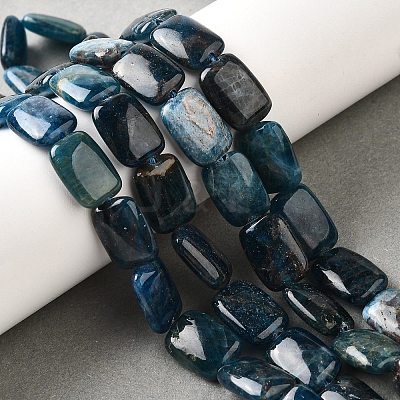 Natural Apatite Beads Strands G-Q026-B01-02-1