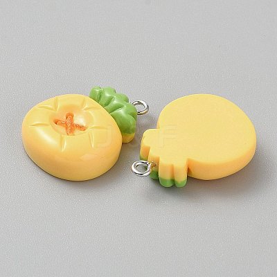 Opaque Resin Pendants LS-CRES-CJC0011-004E-P-1