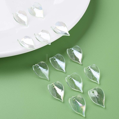 Transparent Acrylic Beads MACR-S373-103-C04-1