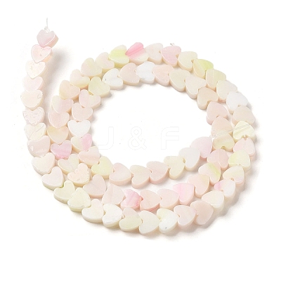 Handmade Lampwork Beads Strands LAMP-Q035-01B-1