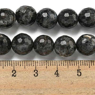 Natural Larvikite Beads Strands G-E571-A09-03-1