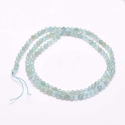Natural Apatite Beads Strands G-I156-05-A-1