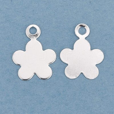 Brass Charms KK-Y003-34S-1