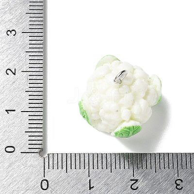 Resin Iron Pendants LS-RESI-D280-07-1