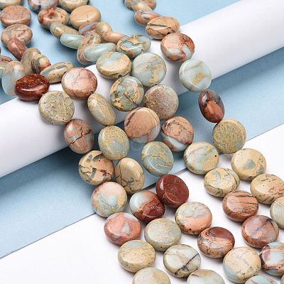 Natural Aqua Terra Jasper Beads Strands G-E572-02-1