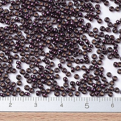 MIYUKI Round Rocailles Beads X-SEED-G007-RR0460-1