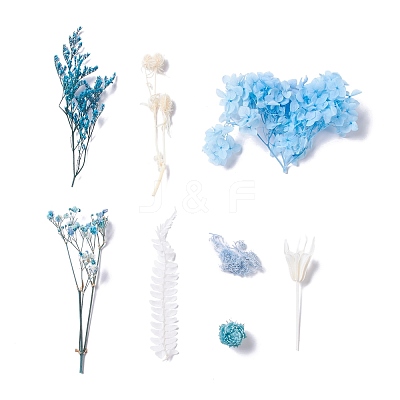 Dried Flowers DIY-D052-10-1