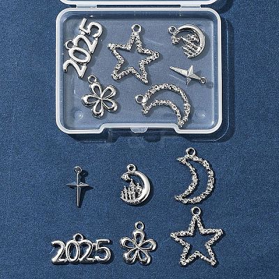 12Pcs 6 Styles Alloy Pendants FIND-FS0003-38P-1