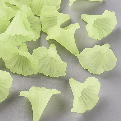 Transparent Acrylic Beads BSF796-C17-1