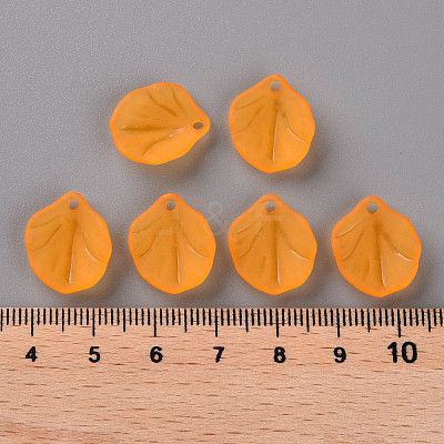 Transparent Frosted Acrylic Pendants MACR-S371-02A-724-1