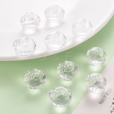 Transparent Acrylic Pendants TACR-T024-05B-205-1