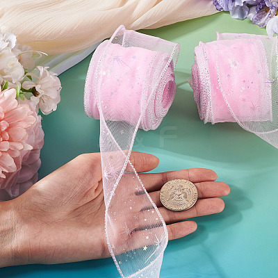 Polyester Deco Mesh Ribbons OCOR-TAC0024-004C-1