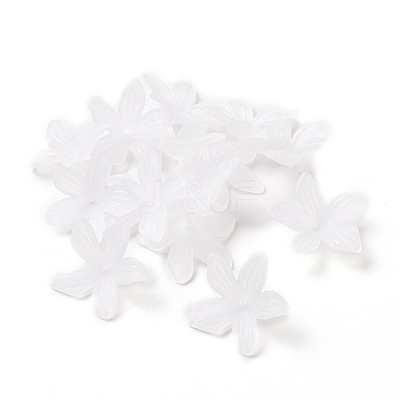 5-Petal Transparent Acrylic Bead Caps OACR-A017-15-1
