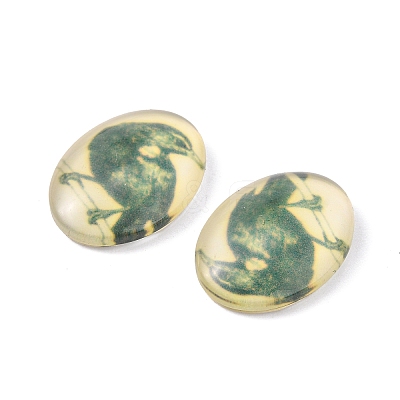 Tempered Glass Cabochons GGLA-R193-1-1