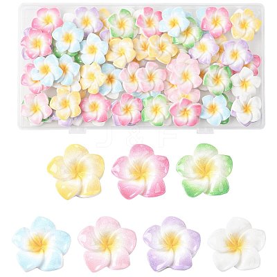 70Pcs 7 Colors Plumeria Flower Opaque Resin Cabochons CRES-FS0001-32-1