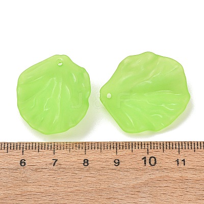 Frosted Acrylic Pendants AC-CBA1E6C-01A-1