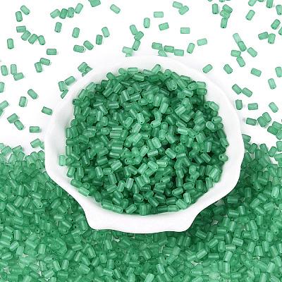 FGB Frosted Transparent Glass Seed Beads SEED-N013-05A-09-1
