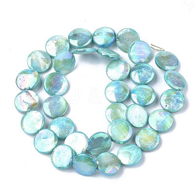 Freshwater Shell Beads Strands SHEL-S274-52-1