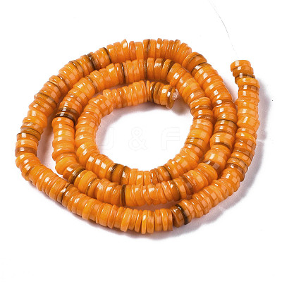Natural Freshwater Shell Beads Strands SHEL-Q024-001H-1