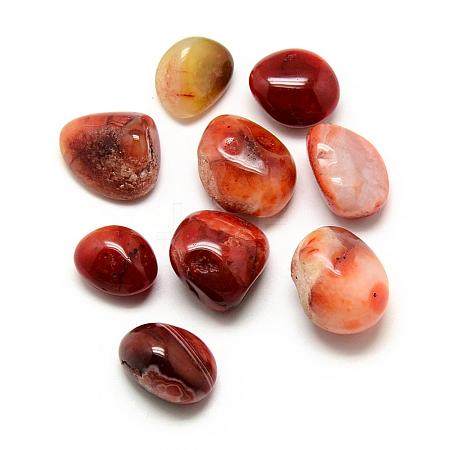 Natural Red Agate Gemstone Beads G-S218-15-1