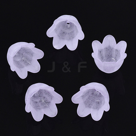 Transparent Acrylic Bead Caps FACR-N005-002F-1