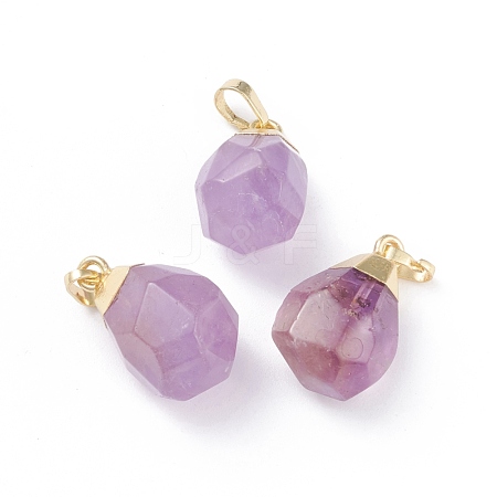 Natural Amethyst Pendants G-G845-07G-05B-1