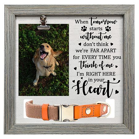 MDF Pet Photo Frames DIY-WH0525-009-1